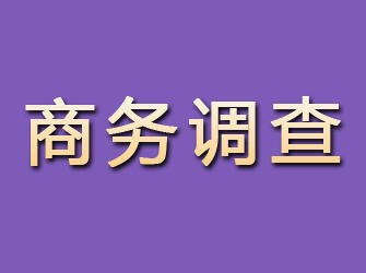 武陵商务调查